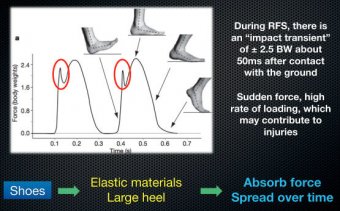 force-measured-during-a-single-ground-contact-period-in-a-person-who-is-barefoot-and-heel-striking