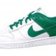 Womens Nike Sprint Spikes