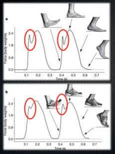 The-concept-of-shoes-is-that-they-spread-that-impact-out