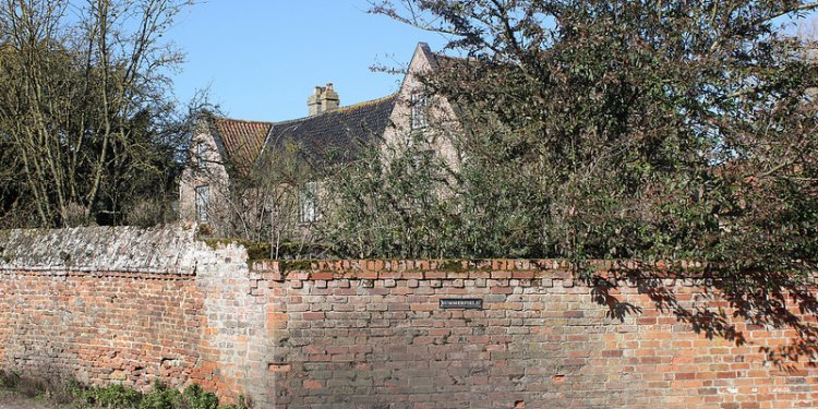 Best Track and Field spikes